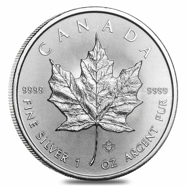 1 oz Silver Coin (Our Choice)