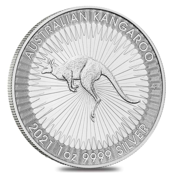 1 oz Silver Coin (Our Choice)